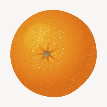 Tangerine fruit clipart, illustration vector. | Free Vector - rawpixel