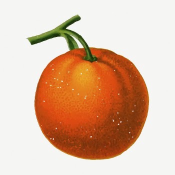 Tangerine fruit collage element, vintage | Free PSD - rawpixel