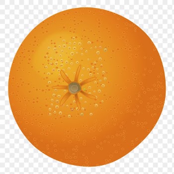 Tangerine fruit png sticker, transparent | Free PNG - rawpixel