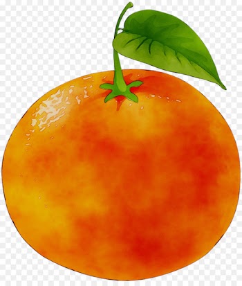 Tangerine Mandarin orange Grapefruit Food -  