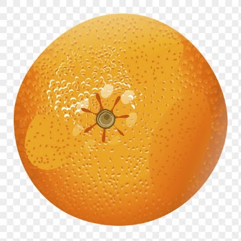 Tangerine png sticker, fruit illustration | Free PNG - rawpixel