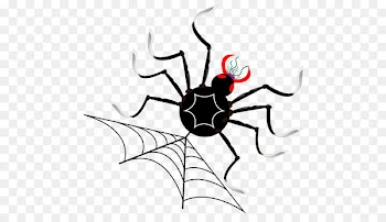 tangle web spider wing pattern - Spider 