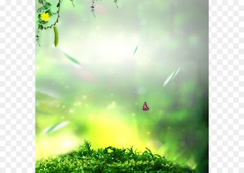 Taobao Cream Tmall - Grassland Butterfly Jungle 