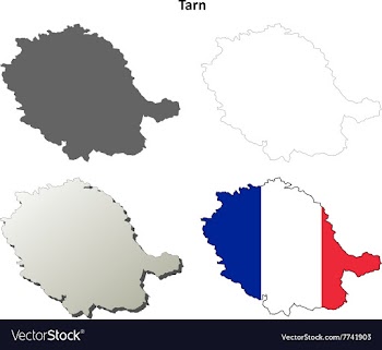 Tarn Midi-Pyrenees outline map set vector image