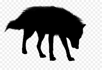 Tarot Pig Horse Playing card Black metal -  