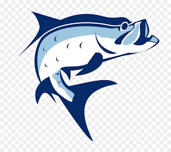 Tarpon Fishing Reels Fishing Baits & Lures Clip art - fishing vector 