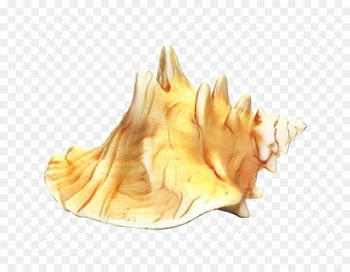 Tart, Quil Fait Bon, Soy Milk, Yellow PNG
