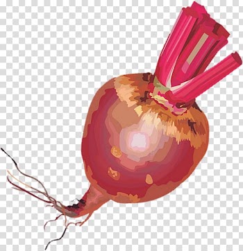 Tart Vegetable Beetroot Shallot Chard, beetroot transparent background PNG clipart