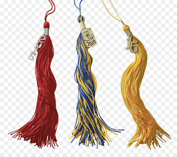 Tassel Graduation ceremony Square academic cap Honor cords ...