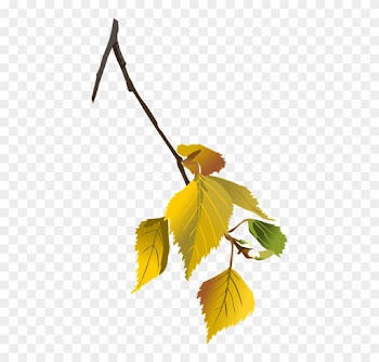 Tattoo - Autumn Leaves Tree Branch Png