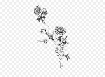 Tattoo Birth flower - Flower Tattoo Png Picture 