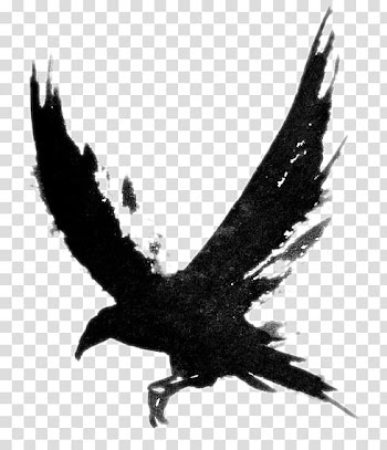 Tattoo Crow Common raven Bird Black-and-gray, crow transparent background PNG clipart