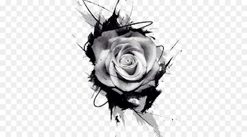 Tattoo Drawing Rose Pink - Rose Tattoo Pattern 