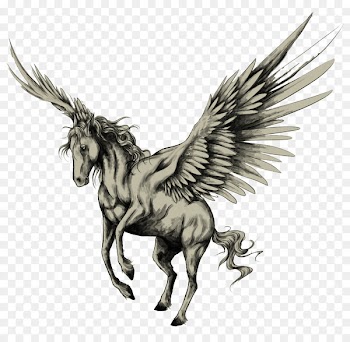 Tattoo Pegasus Drawing Horse Sketch - Pegasus 