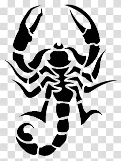 Tattoo Scorpion Png Image