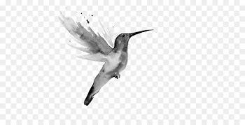 Tattoo Watercolor painting Hummingbird Image - cand streamer 