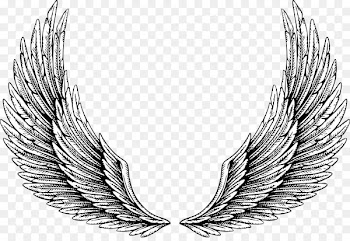 Tattoo Wing Illustration - wing 