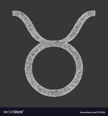 Taurus zodiac sign line art vector image