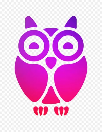 Tawny owl Vector graphics Illustration Image -  