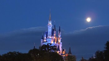 TDL.jpg