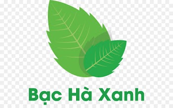Tea, Da Nang, Logo, Leaf, Green PNG