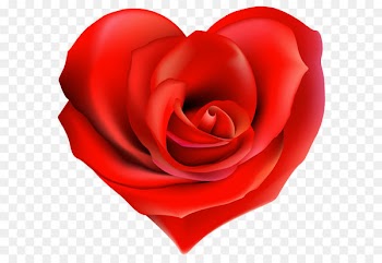 Tea Garden roses Heart Ring - Transparent Rose Hearts Decor PNG Clipart 