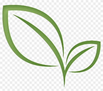 Tea Leaf Clip Art - Tea Leaf Clipart Png