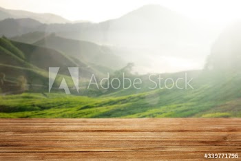 Tea plantation product background