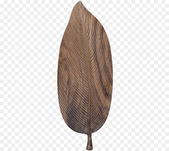 Tea Wood Dim sum Tray Japanese Cuisine - Black walnut leaves, plates 