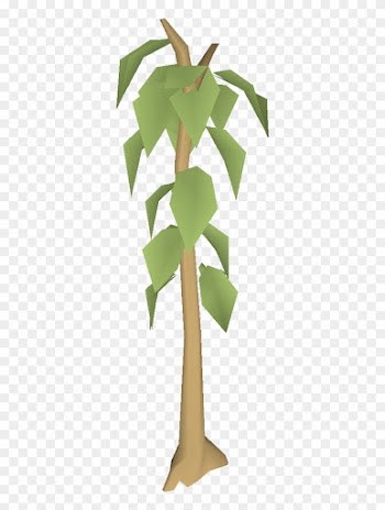 Teak Tree - Osrs Teak Tree