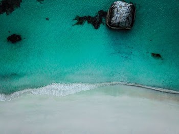 teal and black blanket
