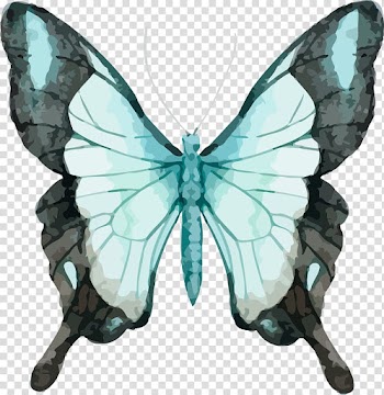 Teal and black butterfly , Butterfly Watercolor painting , Beautiful butterfly watercolor transparent background PNG clipart