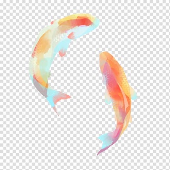 Teal-and-multicolored common goldfish illustration, Koi Carassius auratus Fish Carp, fish transparent background PNG clipart