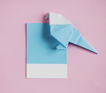 Teal and White Paper