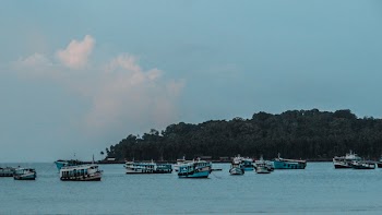 Teal Boats Near Island