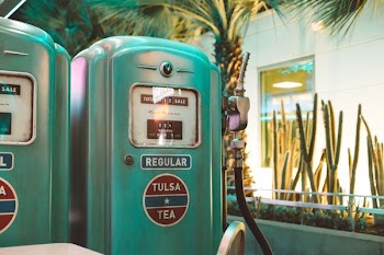 teal gasoline dispenser machine beside green fan palm tree