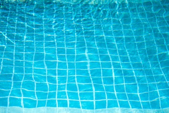 Teal Grid Textile