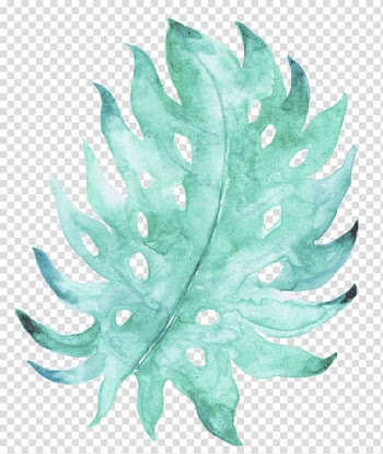 Teal leaf painting, Painting, Hand-painted mint green leaves transparent background PNG clipart