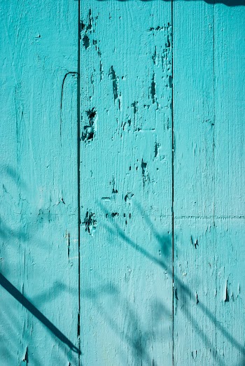 Teal Painted Wooden Wall