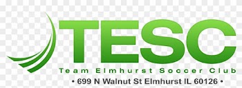 Team Elmhurst Soccer Club Logo