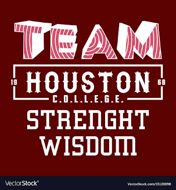 Team houston vector image