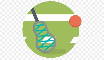 Team sport Racket Lacrosse - lacrosse 