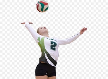 Team sport Volleyball Football Sports - volleyball 