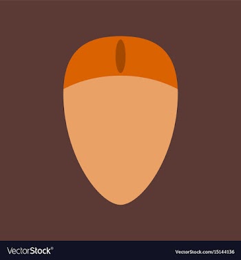 Technology gadget in flat design computer mouse vector image