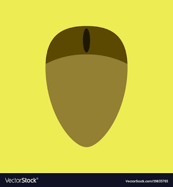 Technology gadget in flat design computer mouse vector image