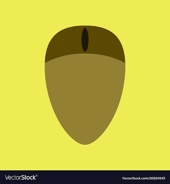 Technology gadget in flat design computer mouse vector image