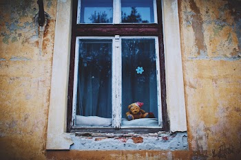 Teddy bear in the window