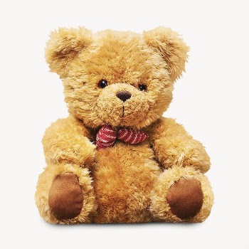 Teddy bear, isolated on white | Free Photo - rawpixel