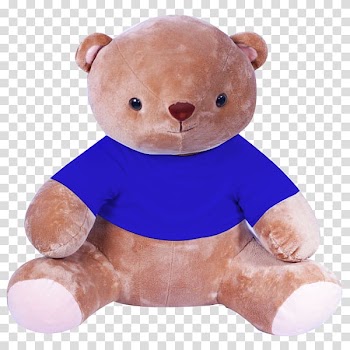 Teddy bear Outerbloom Florist Jakarta, Toko Bunga Online Jakarta Gift Flower, gift transparent background PNG clipart
