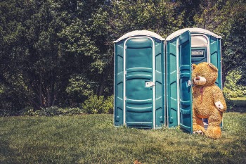 Teddy Bear Toilet Free Photo 